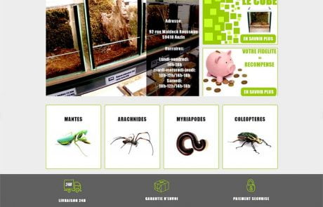 Création de site internet à Anzin pour une boutique de vente d'insectes et élevage