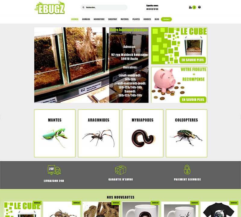 Création de site internet à Anzin pour une boutique de vente d'insectes et élevage